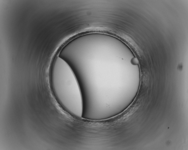 X0000097961030200803241037