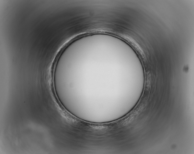 X0000097961031200803241037