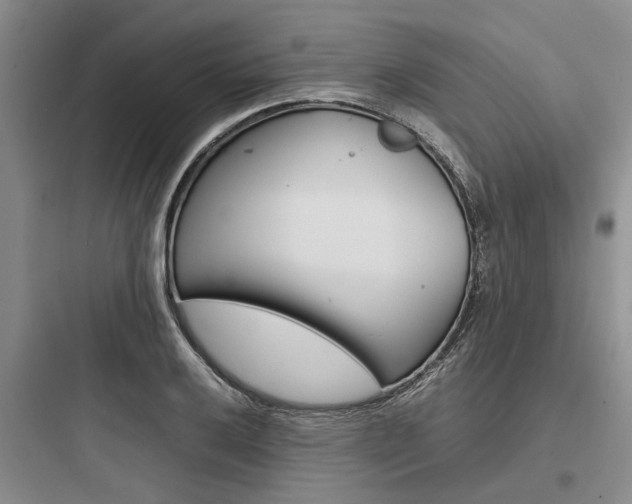 X0000097961032200803241037