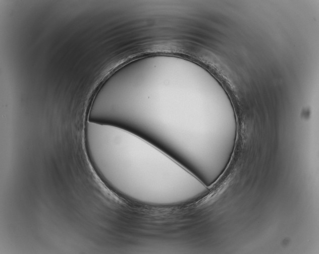 X0000097961033200803241037