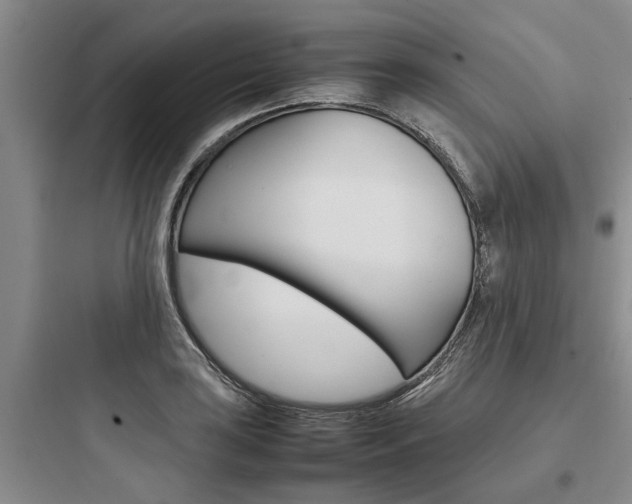 X0000097961035200803241037