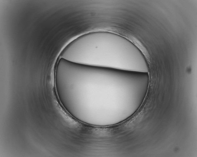 X0000097961036200803241037