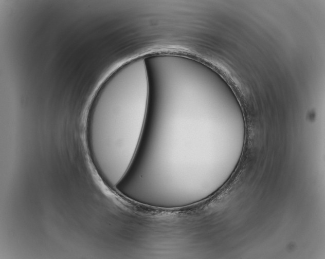 X0000097961038200803241037