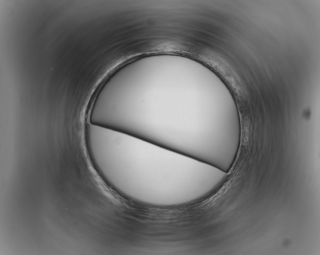 X0000097961039200803241037