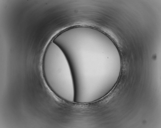 X0000097961040200803241037