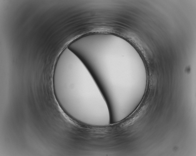 X0000097961041200803241037