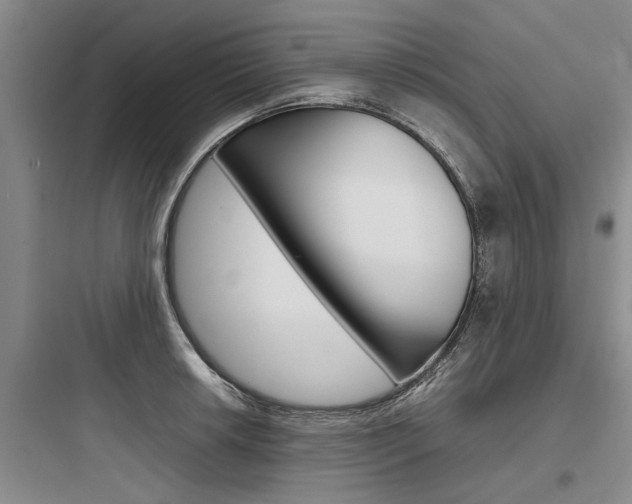 X0000097961042200803241037