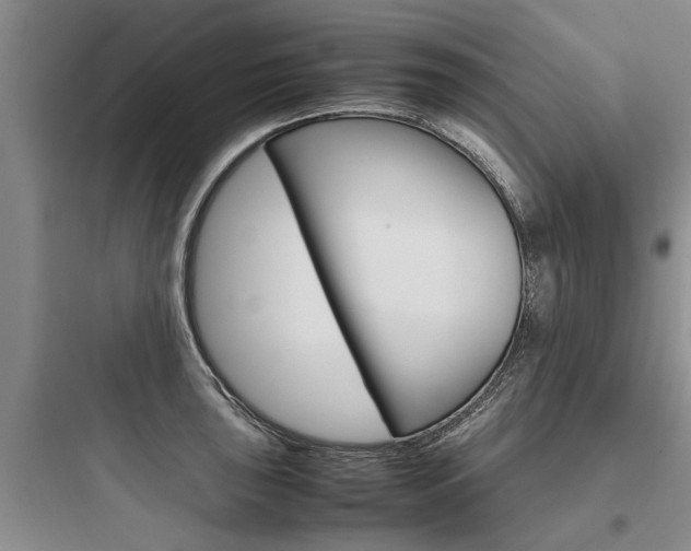 X0000097961043200803241037