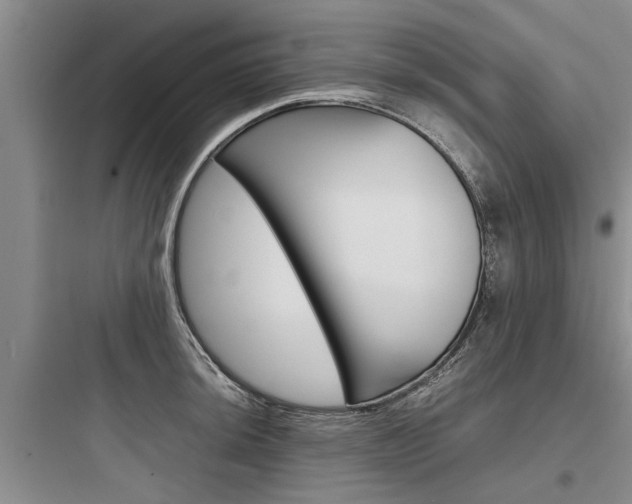 X0000097961044200803241037