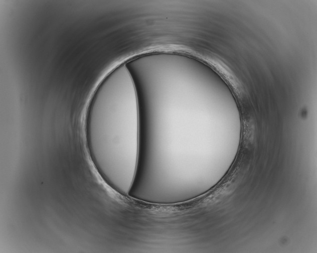 X0000097961046200803241037