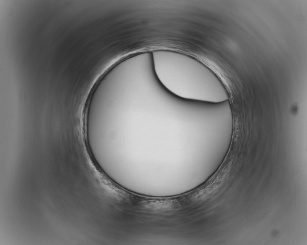 X0000097961047200803241037