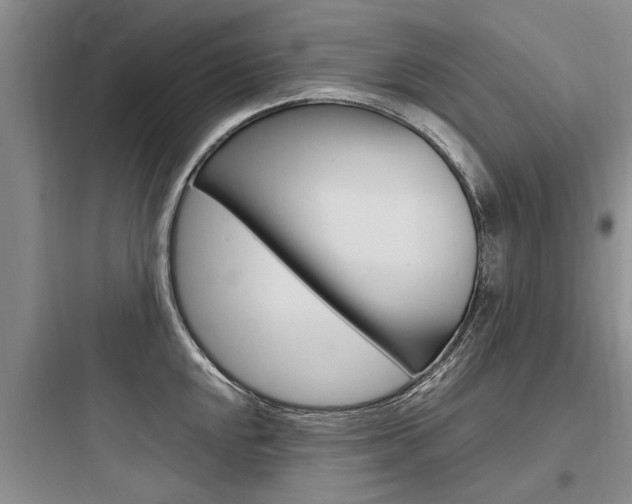 X0000097961048200803241037