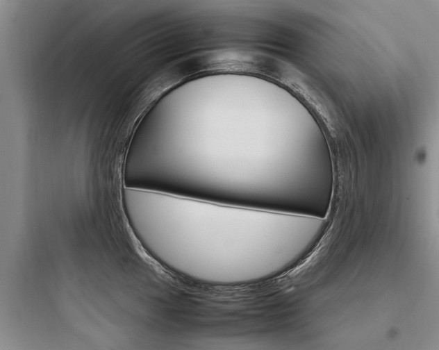 X0000097961049200803241037