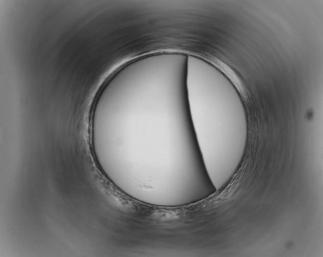 X0000097961051200803241037