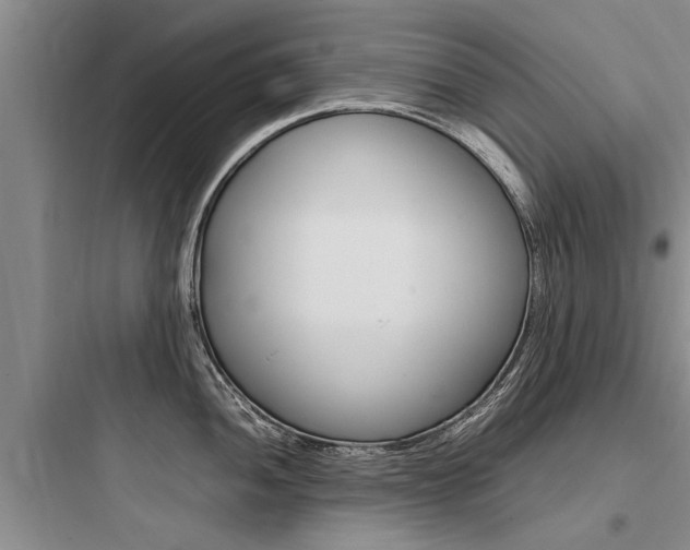 X0000097961052200803241037