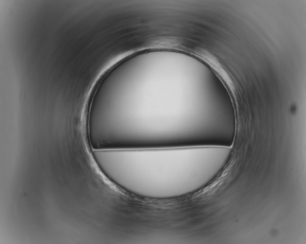 X0000097961053200803241037