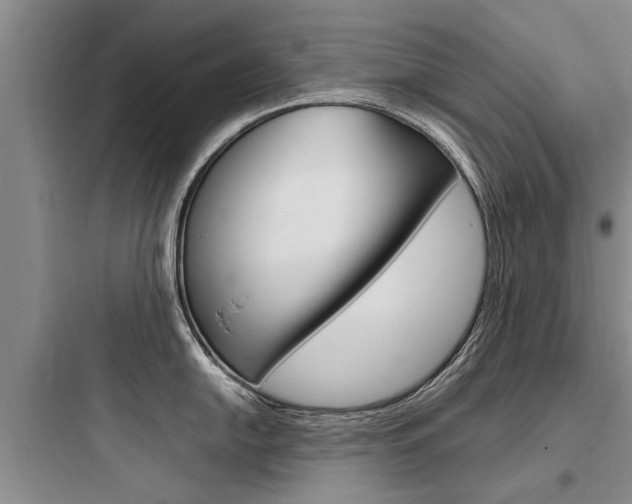 X0000097961054200803241037
