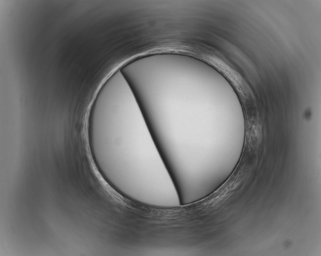 X0000097961055200803241037
