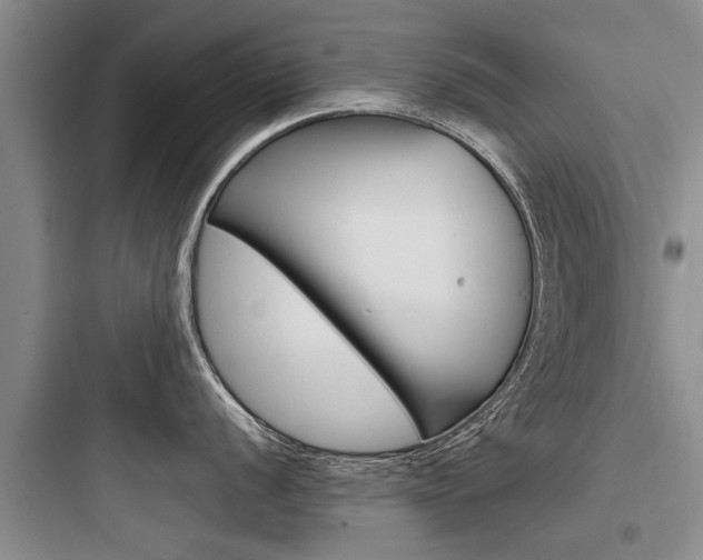 X0000097961056200803241037