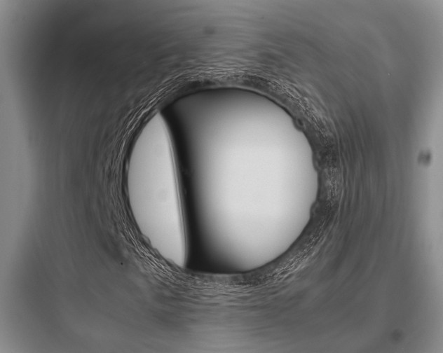 X0000097961057200803241036
