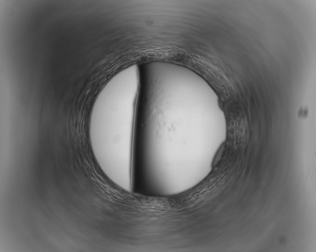 X0000097961058200803241036