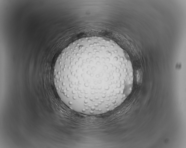 X0000097961059200803241036