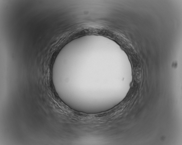 X0000097961061200803241036