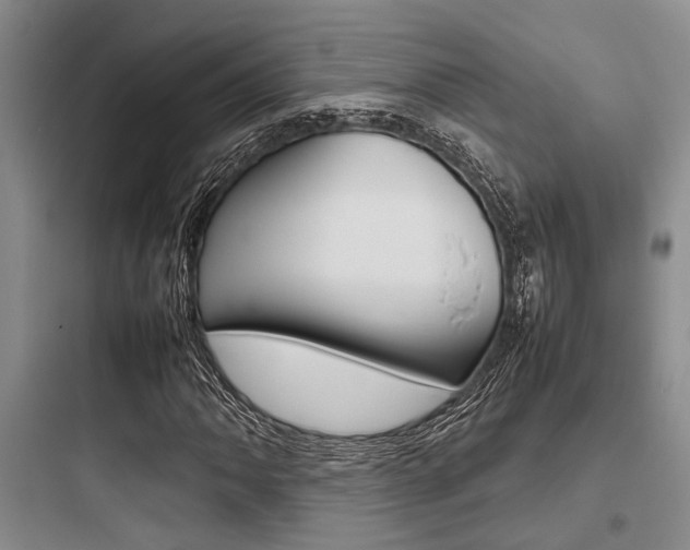 X0000097961062200803241036