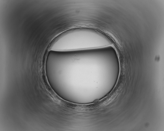 X0000097961065200803241036