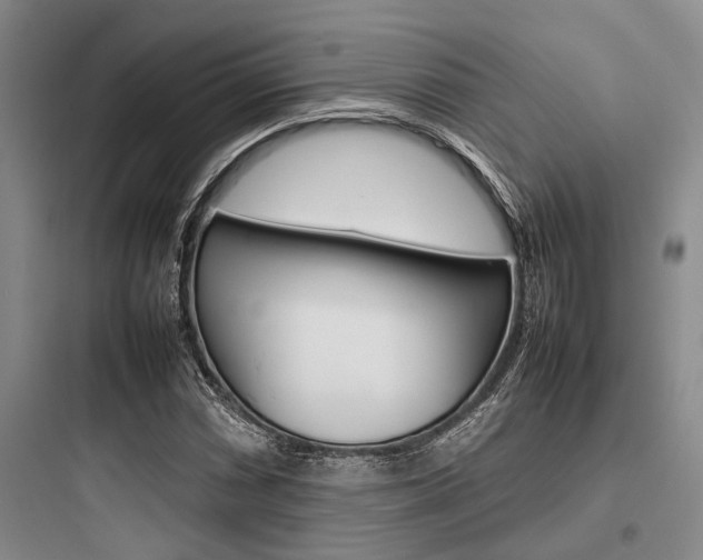X0000097961066200803241036