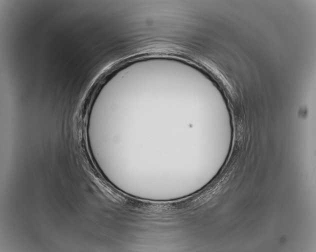 X0000097961067200803241036