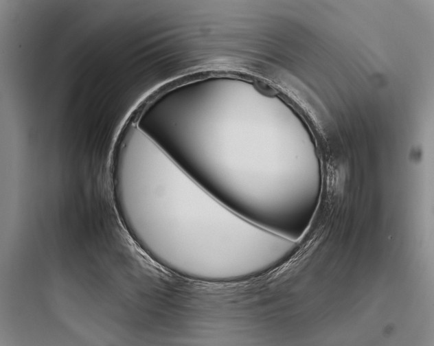 X0000097961068200803241036