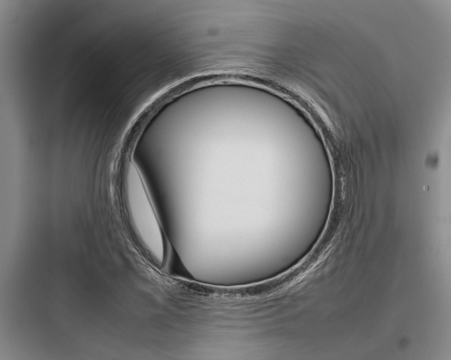 X0000097961069200803241036