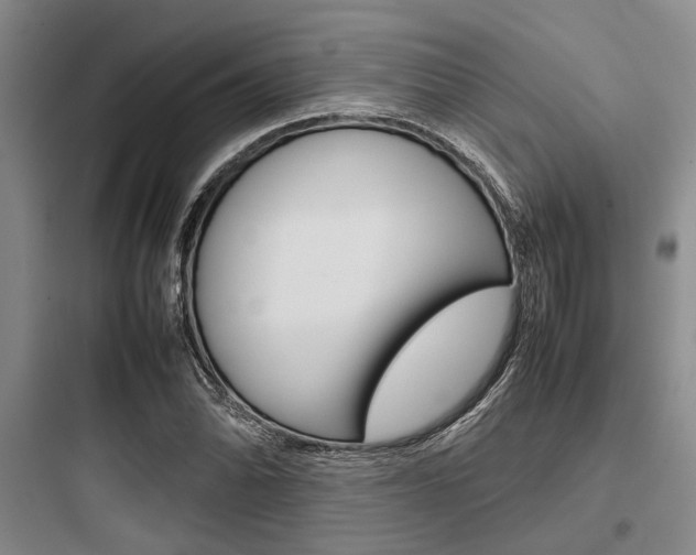 X0000097961070200803241036