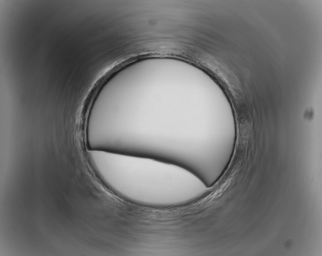 X0000097961071200803241036