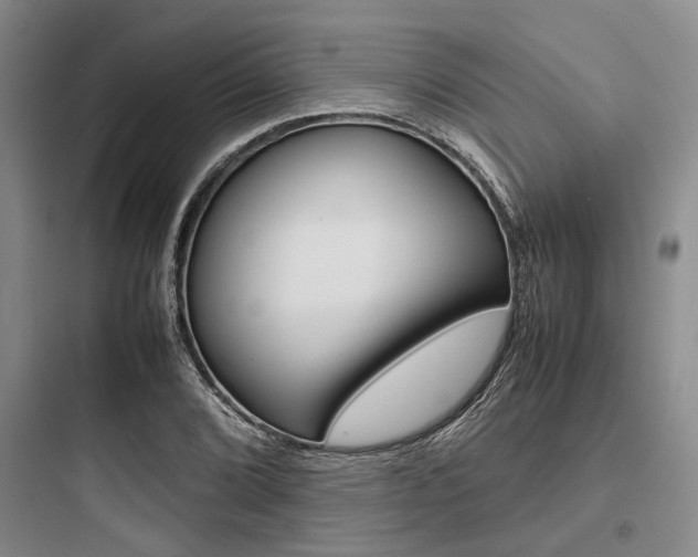 X0000097961072200803241036