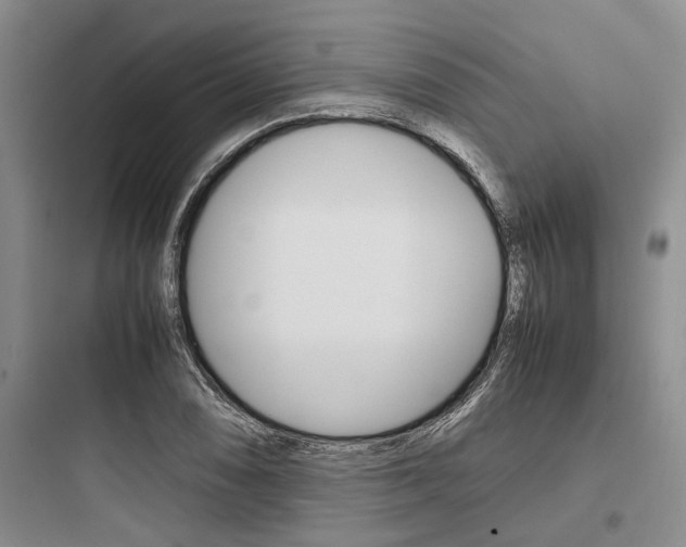 X0000097961074200803241036