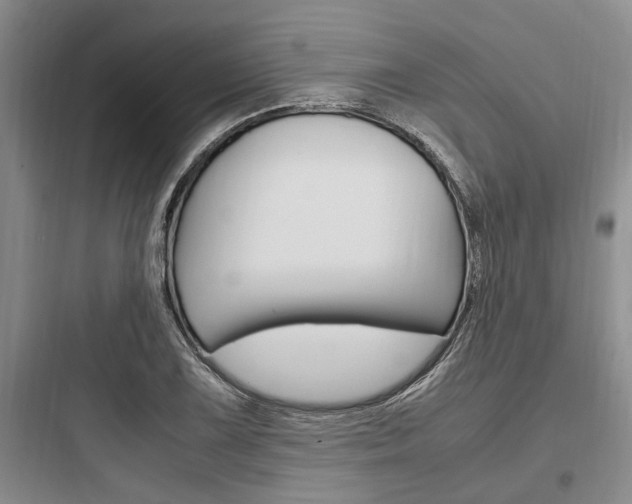 X0000097961075200803241036