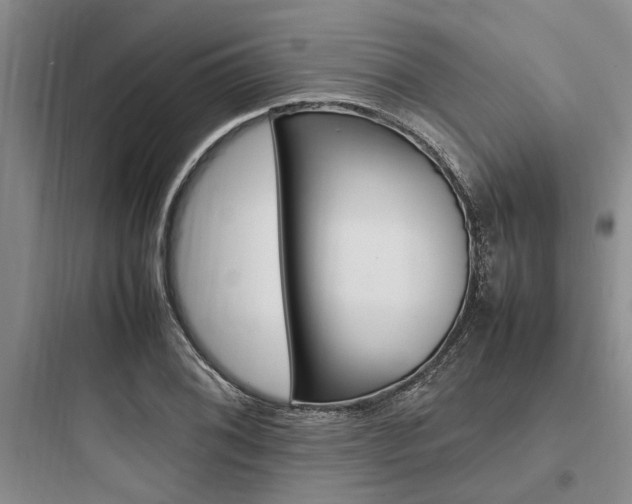 X0000097961076200803241036