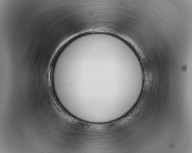 X0000097961078200803241036