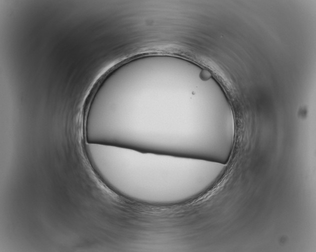 X0000097961079200803241036