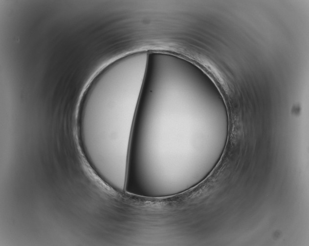 X0000097961080200803241036