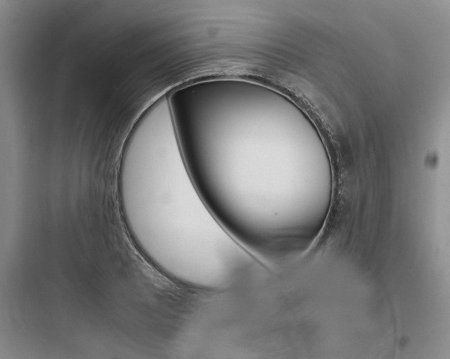 X0000097961081200803241036