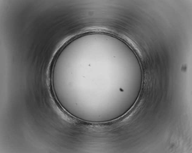 X0000097961082200803241036