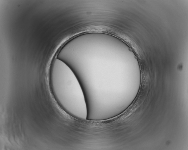 X0000097961083200803241036