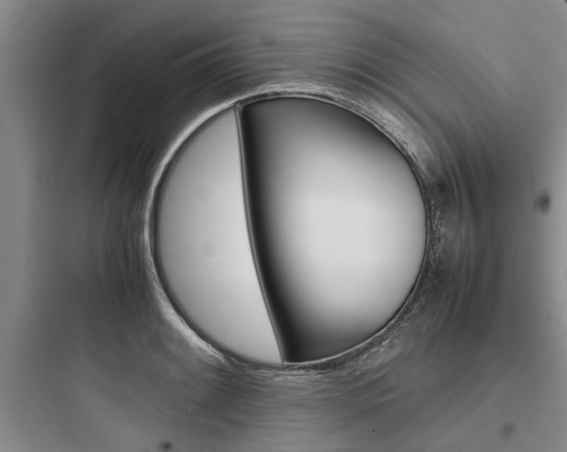 X0000097961084200803241036