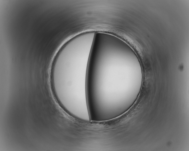 X0000097961085200803241036