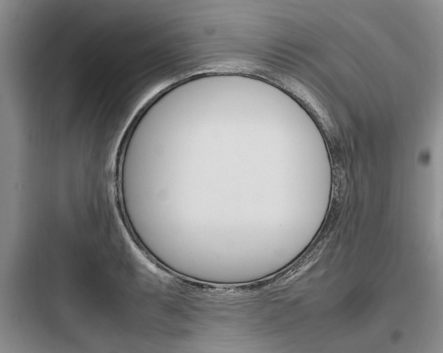 X0000097961087200803241036