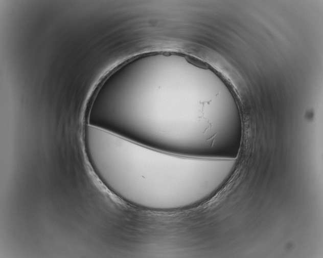 X0000097961088200803241036