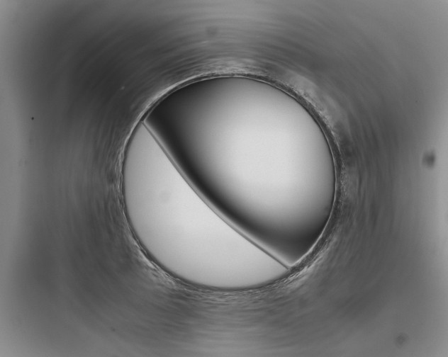 X0000097961089200803241036